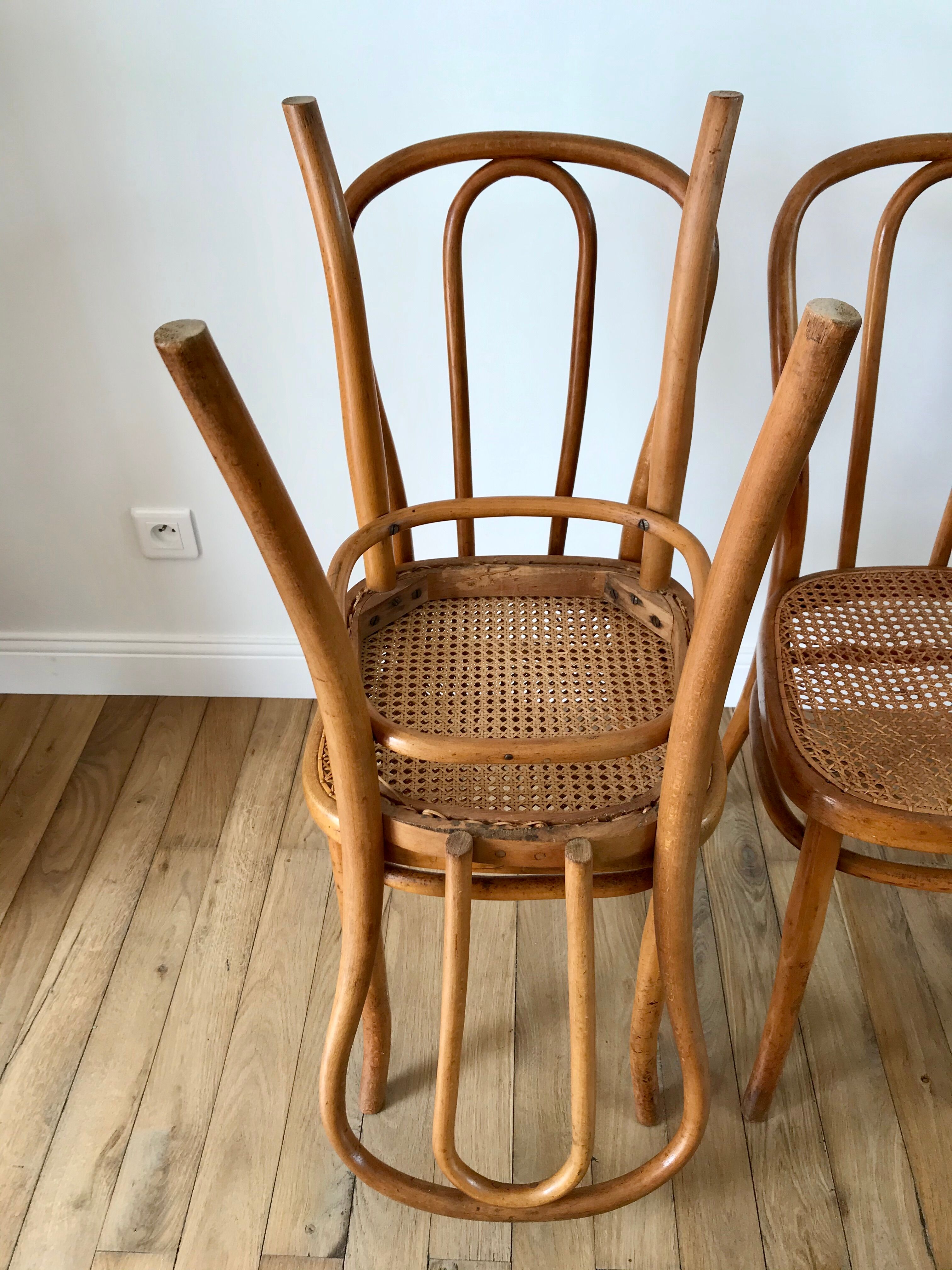 Set of 4 cane chairs in bentwood and honey-coloured cane thonet early 20th century