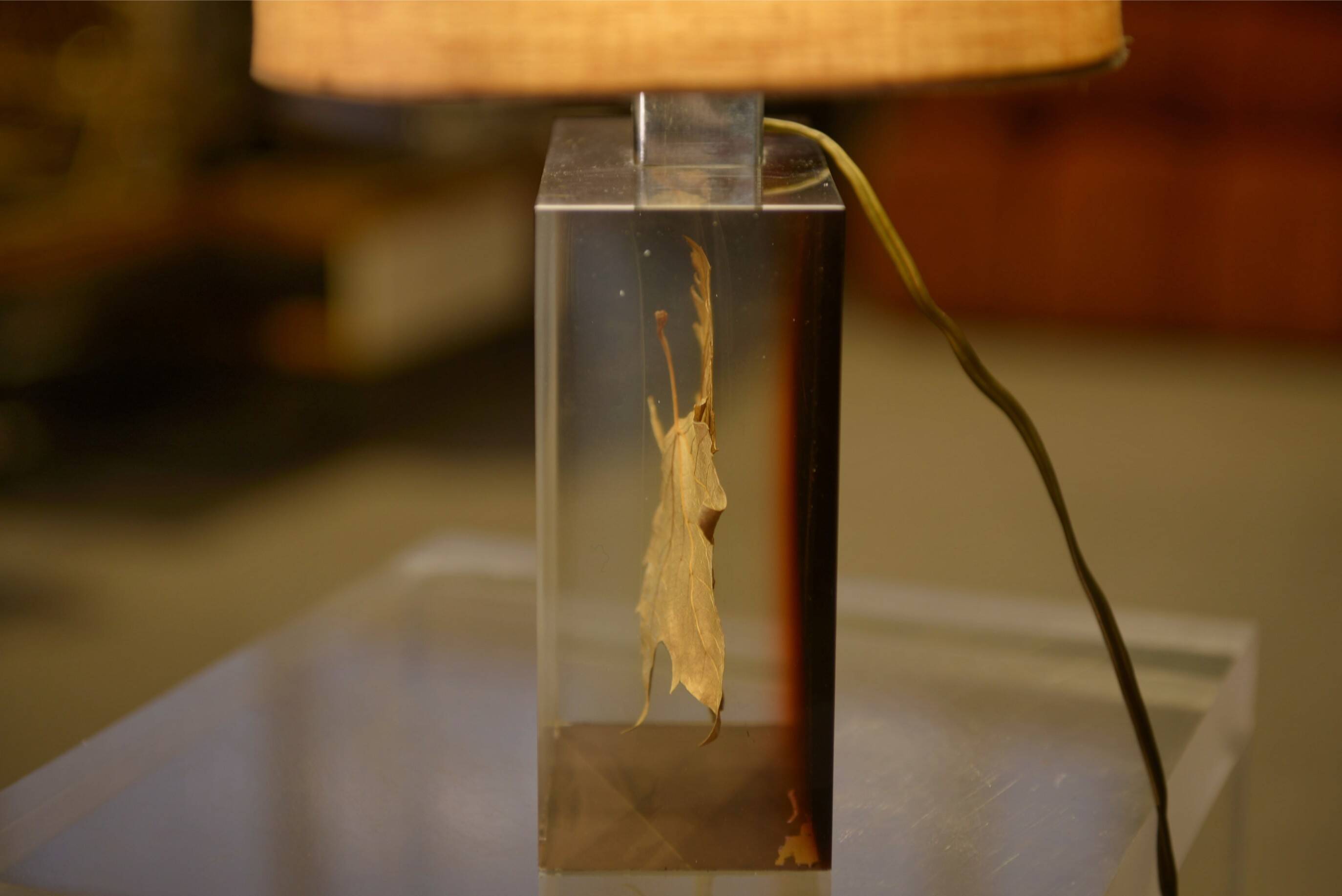 Lamp with plane tree leaf inclusion by Pierre Giraudon 1970s