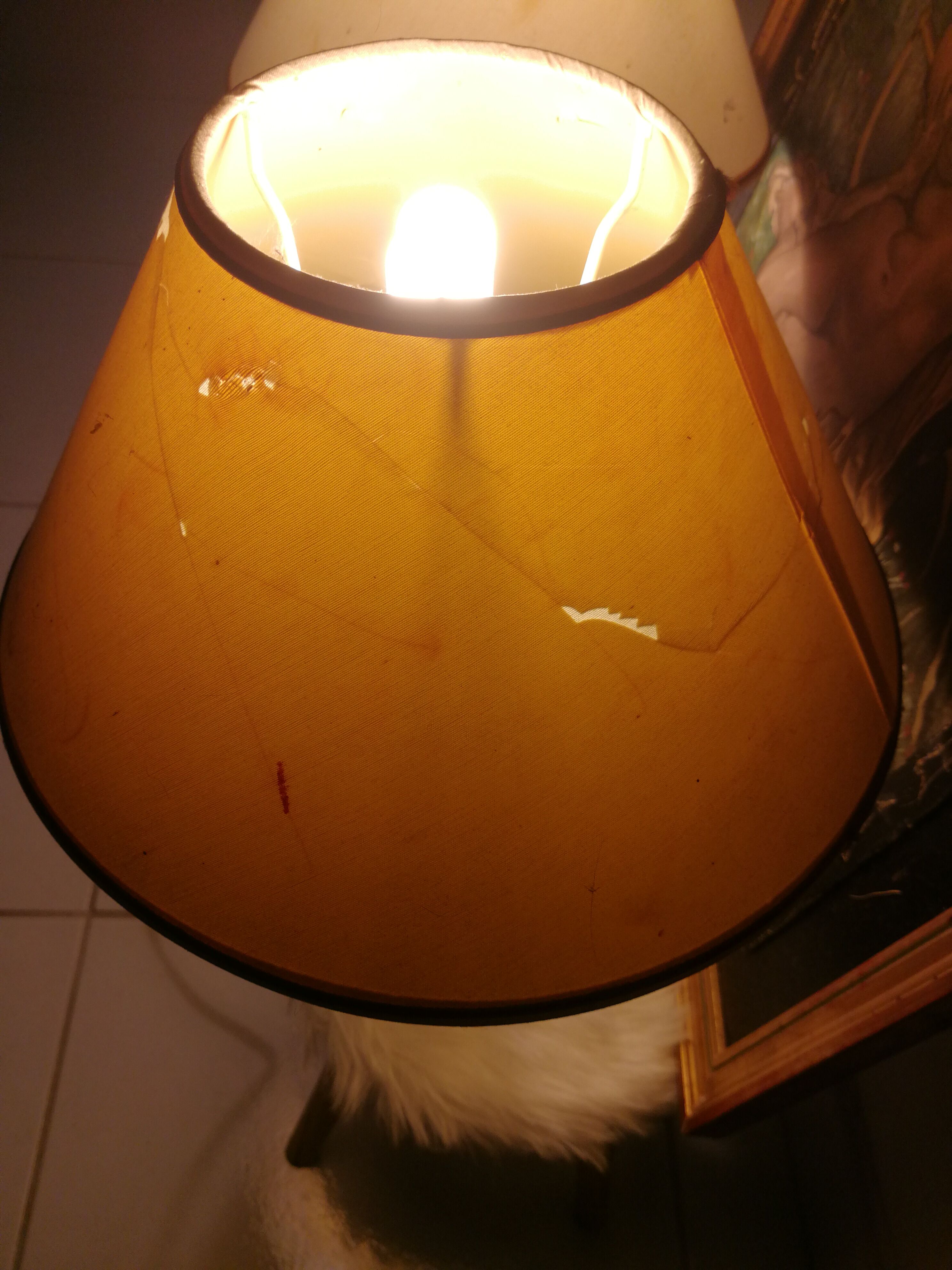 Duo of bedside lamps