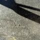 DSS Eames Herman Miller elephant grey no vitra knoll