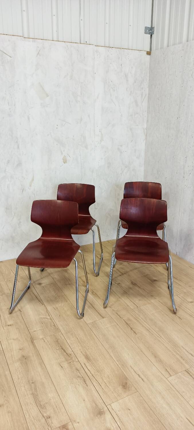 4 Pagholz chairs