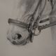 Pencil wash drawing on vellum horse painting signature to identify framed signed and dated