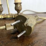 2-light brass hot water bottle lamp