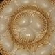 6 oyster shell plates and Chantilly porcelain serving platter