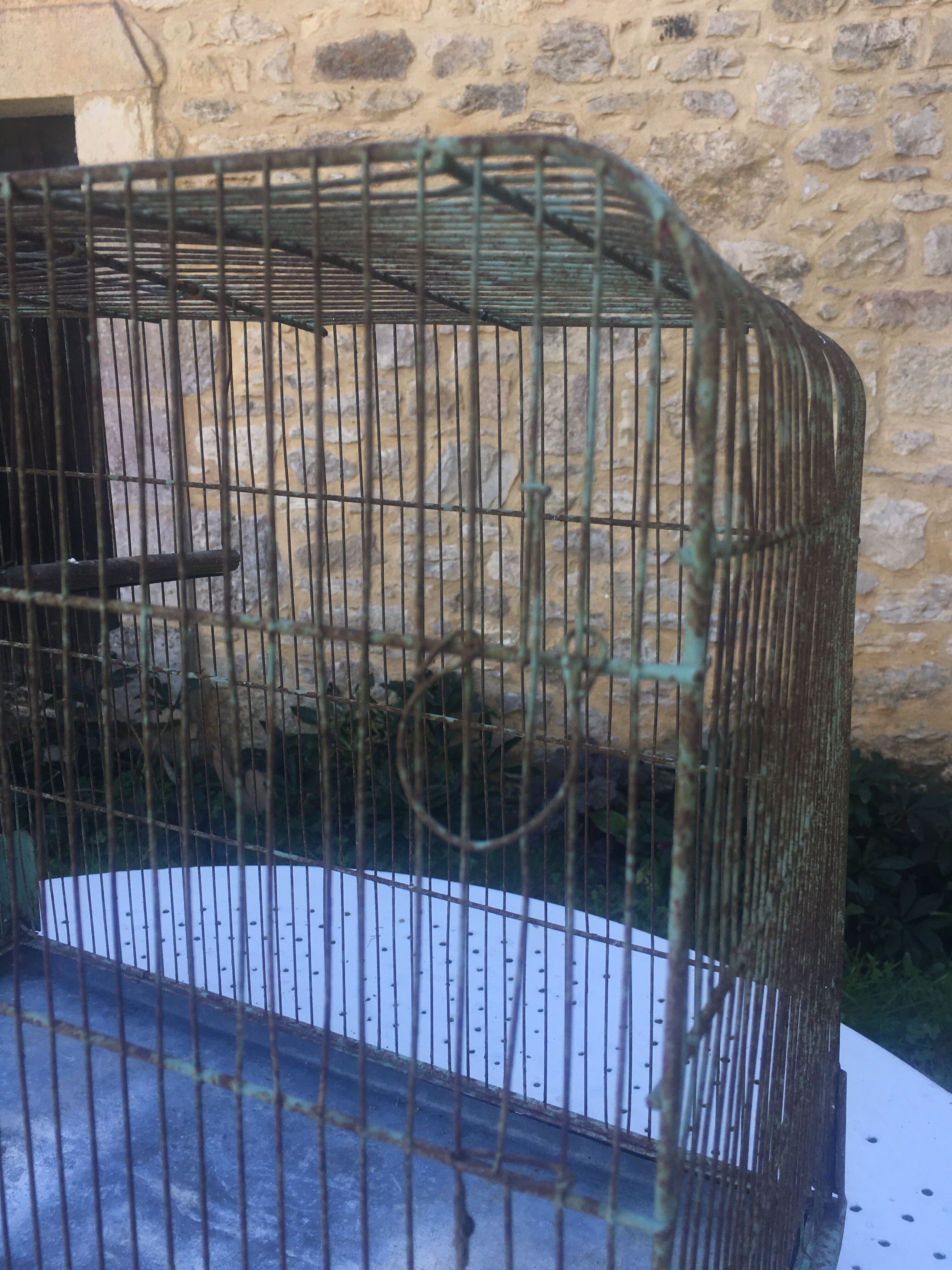 Metal bird cage
