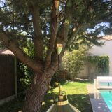 Adjustable brass suspension