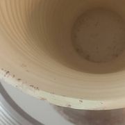 Large conical pitcher vase Accolay ceramics