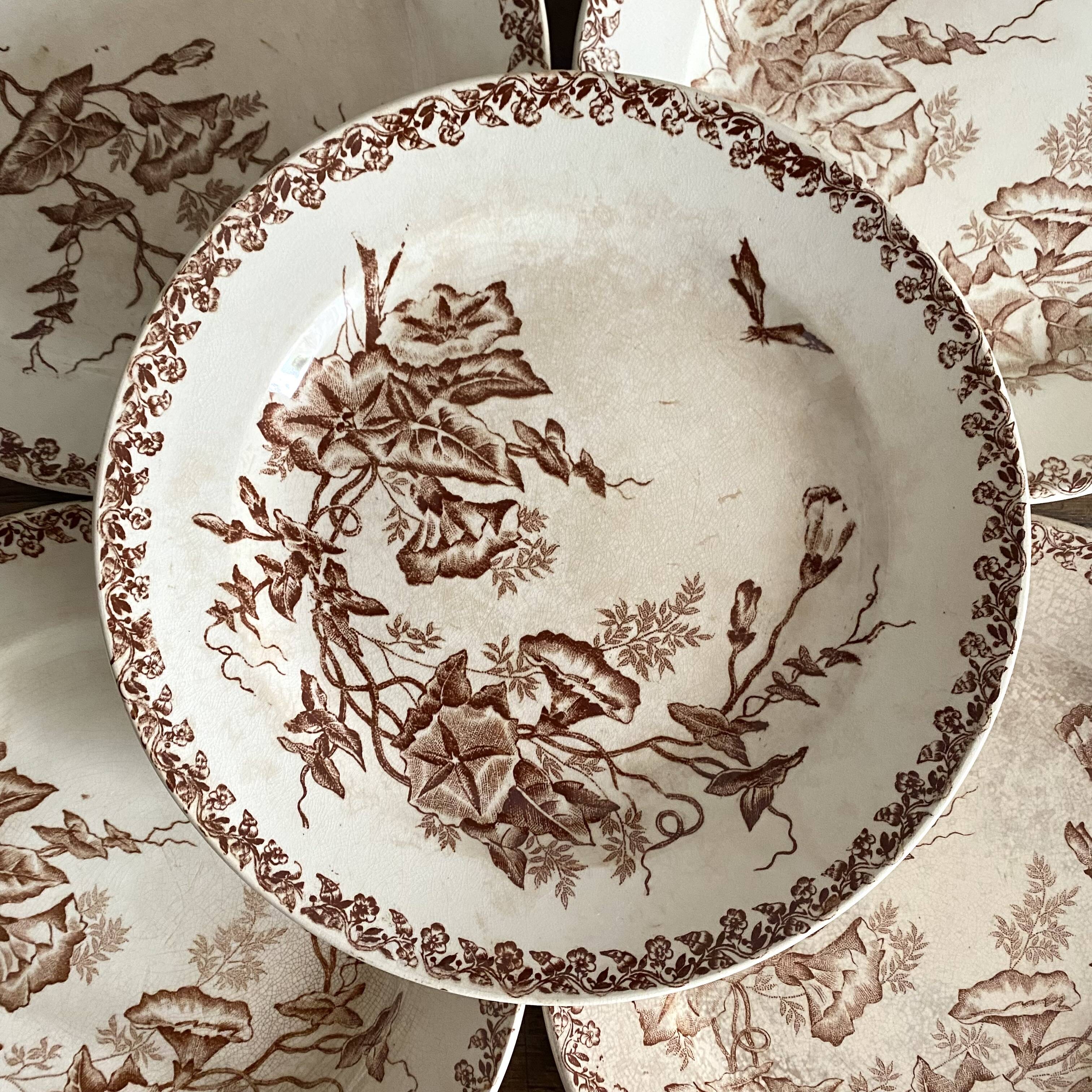 Onnaing Liseron ironstone soup plates