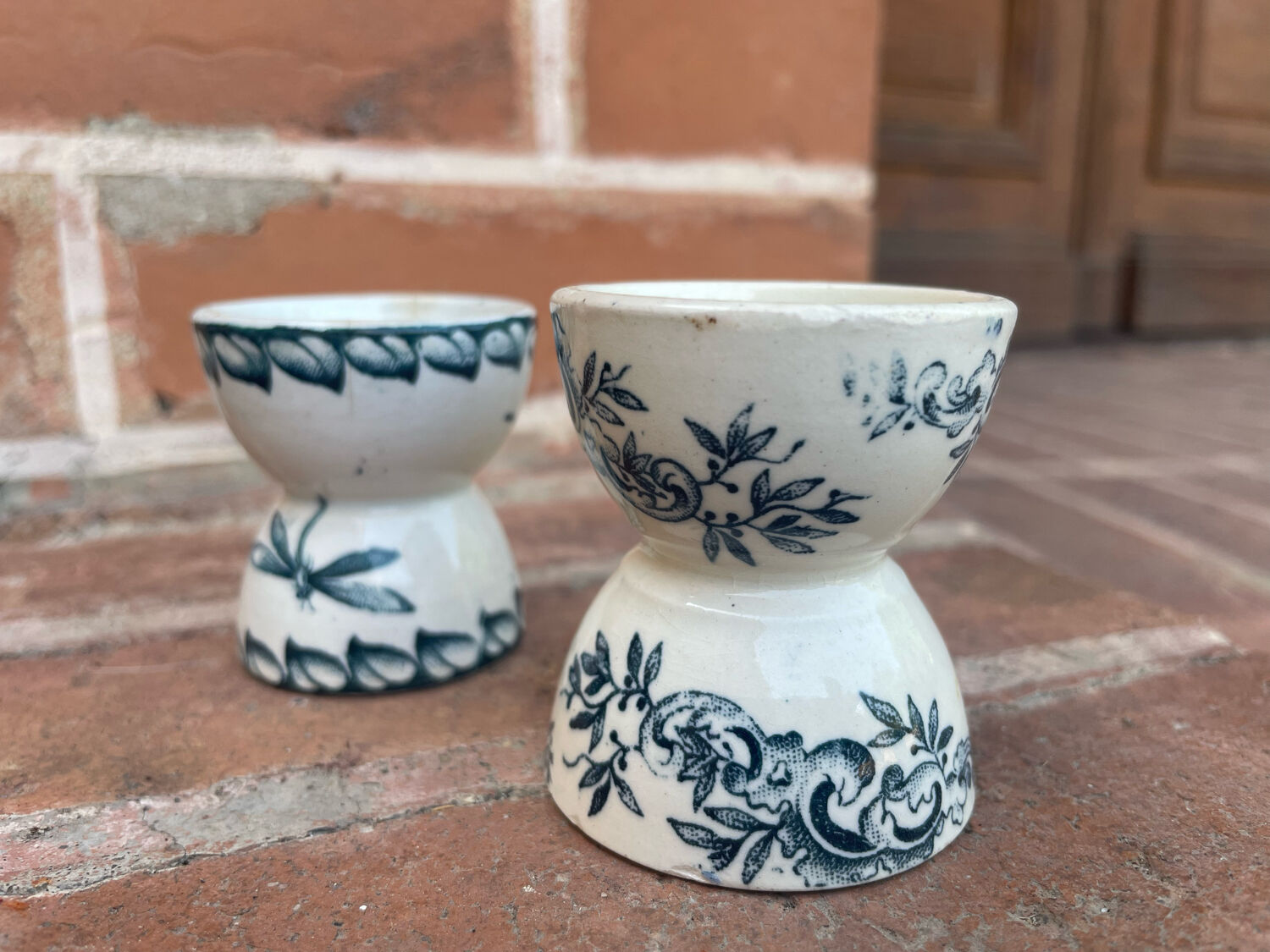 Cockroaches diabolo Terre de Fer