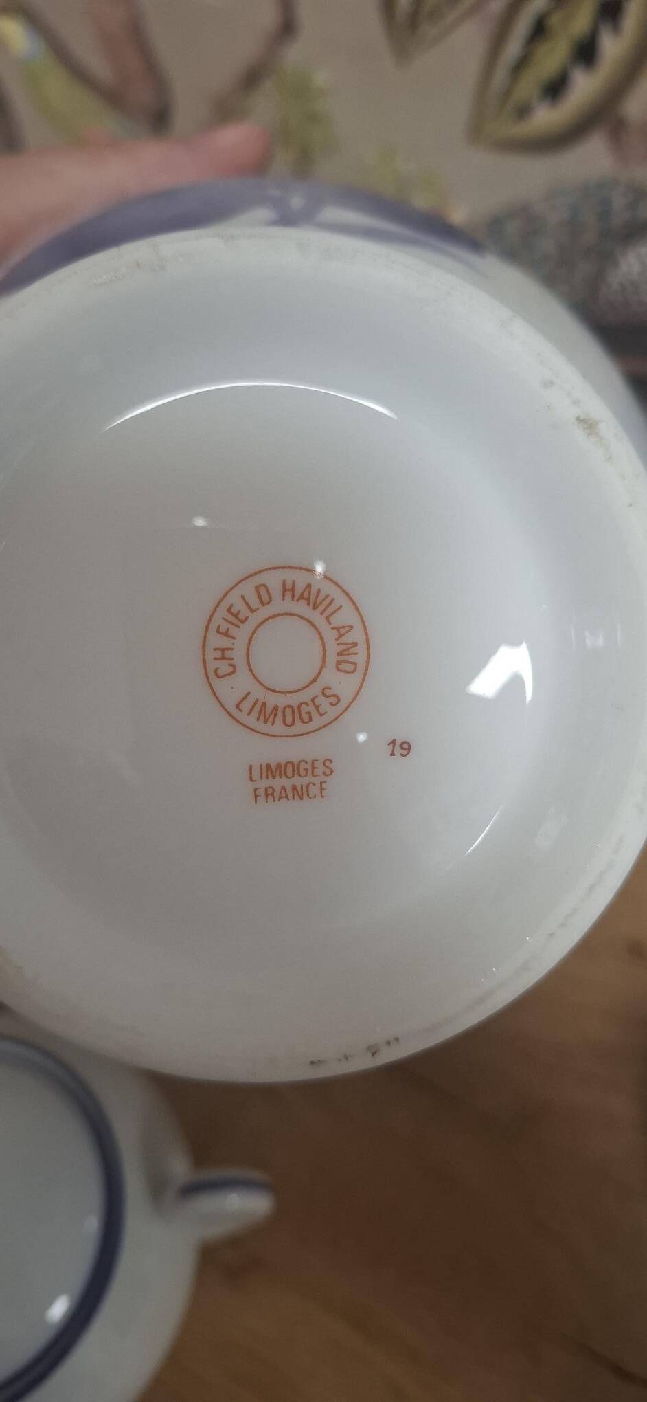 Limoges Porcelain Tea Service