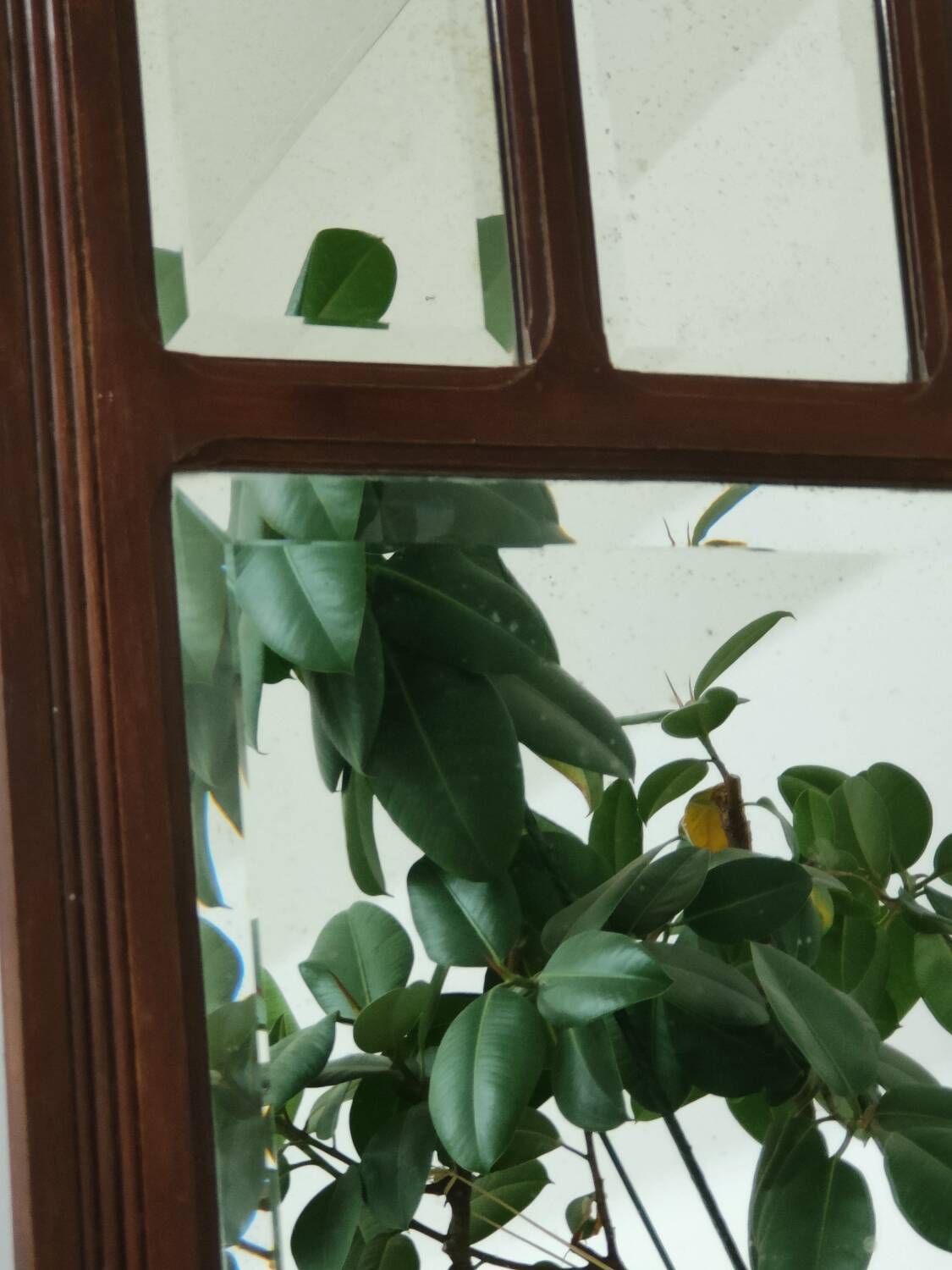 Antique beveled mirror on a wooden frame, 1930