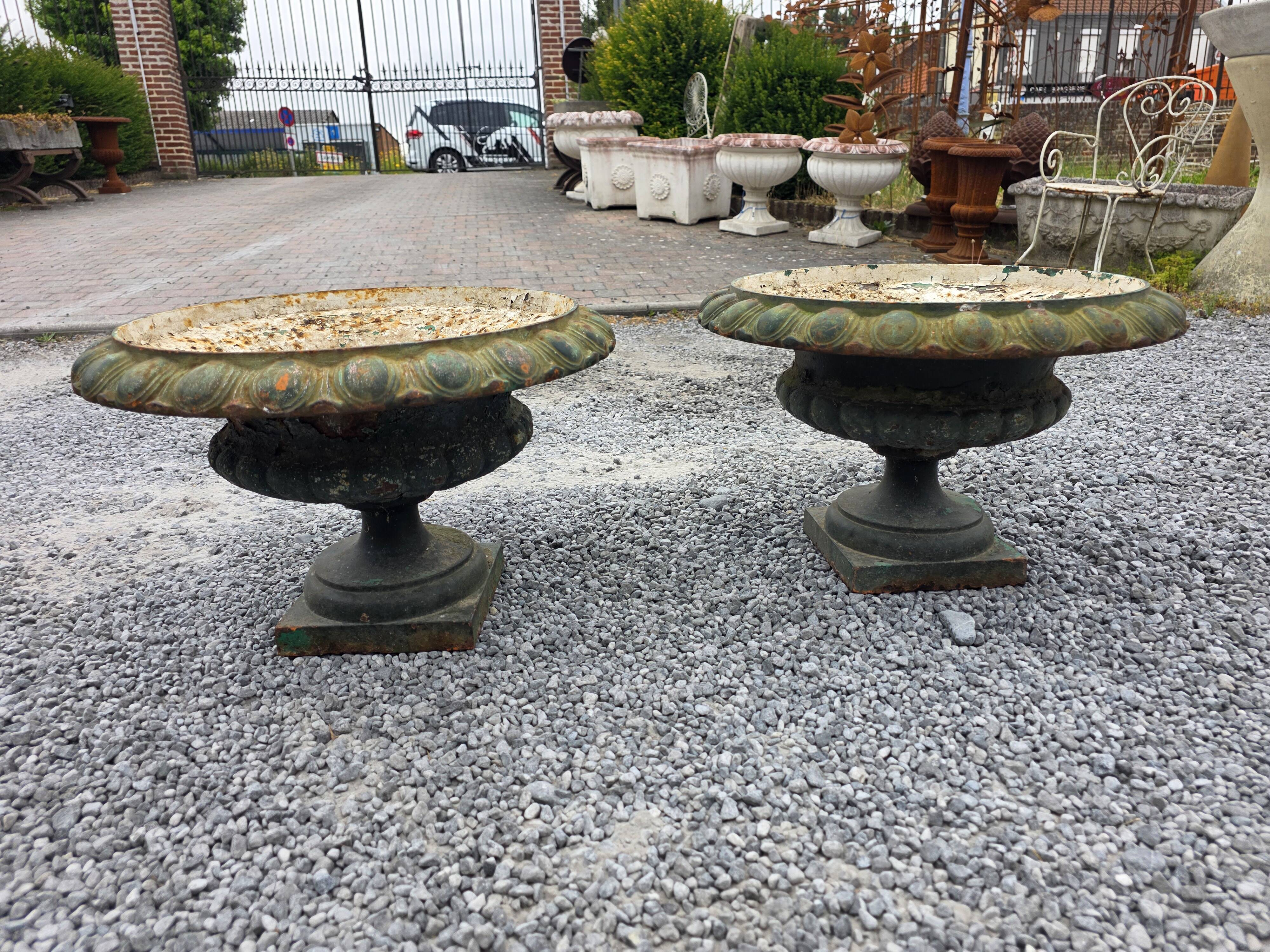 Pair of Medici vases in cast iron from the 19th century, 55cm wide.