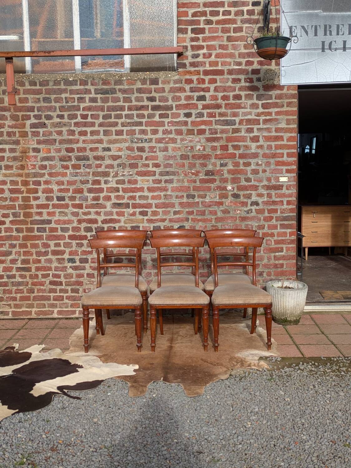 Set of mahogany chairs