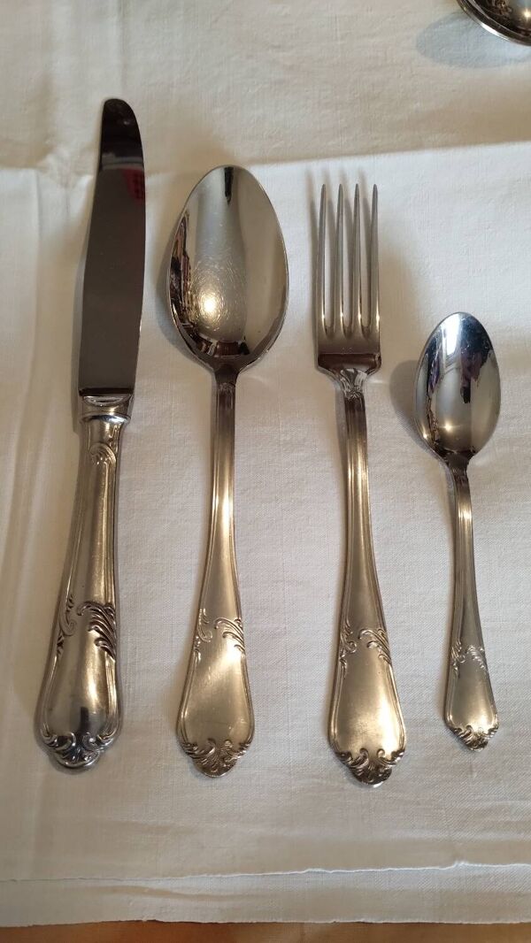 Lot de 48 couverts guy degrenne