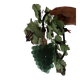 Applique
