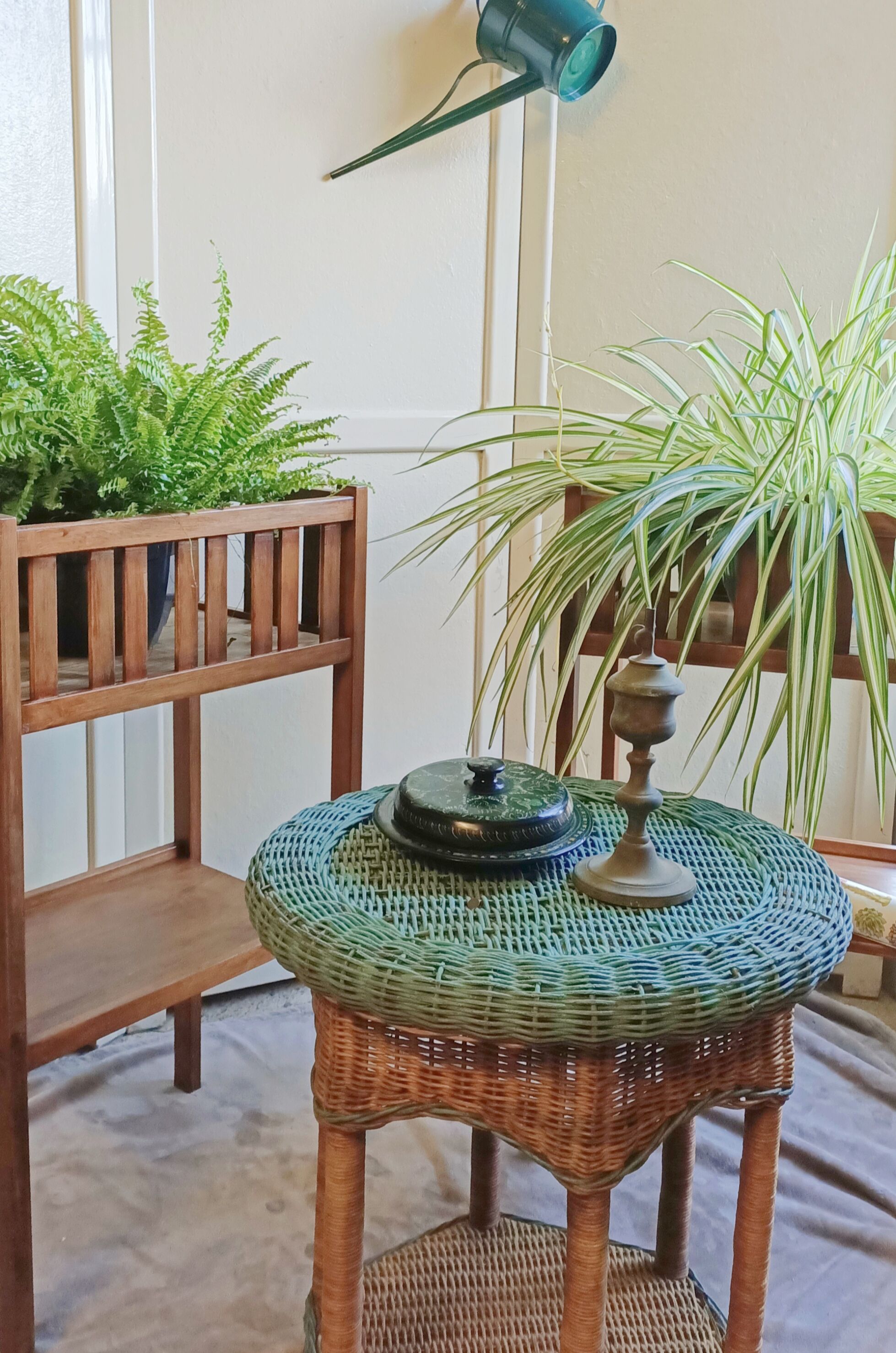 Pair of indoor planters