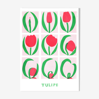 Affiche, Tulipe