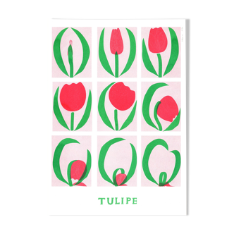 Poster, Tulip