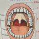 Anatomical school poster