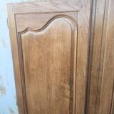 pair of old oak doors
