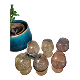 Six coloured digestive glasses