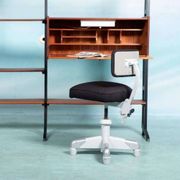 Vintage Gispen office chair from the 1960s, industrial Hoffmann.