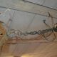 Wrought iron chandelier