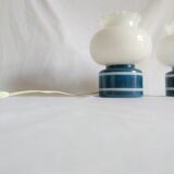 Pair of duck blue and white opaline lamps