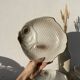 6 flat plates fish in beige ceramic Salins les bains
