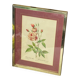 Botanical poster, P-J Redouté, brass frame