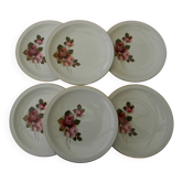 6 assiettes plates en faïence de SARREGUEMINES. Modèle Richemond.
