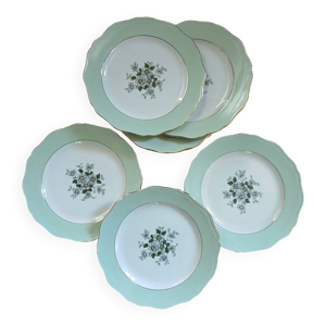 10 assiettes plates anciennes