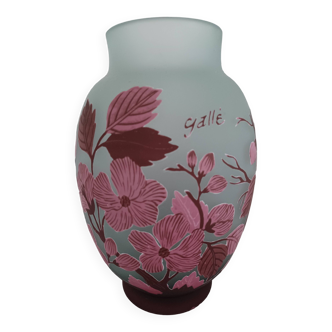 Vase galle tip.