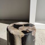 Side table in petrified wood