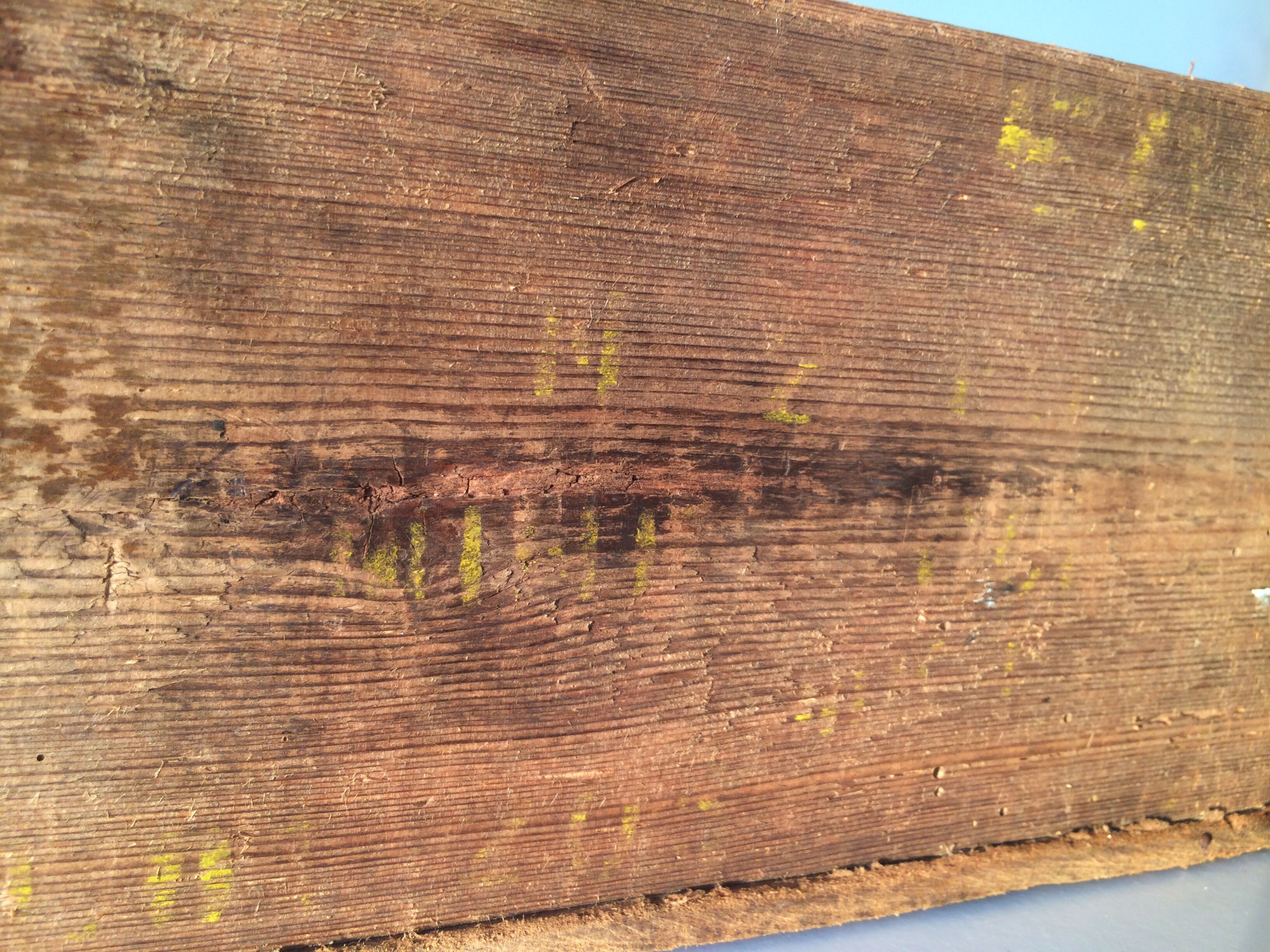 Old vintage storage box