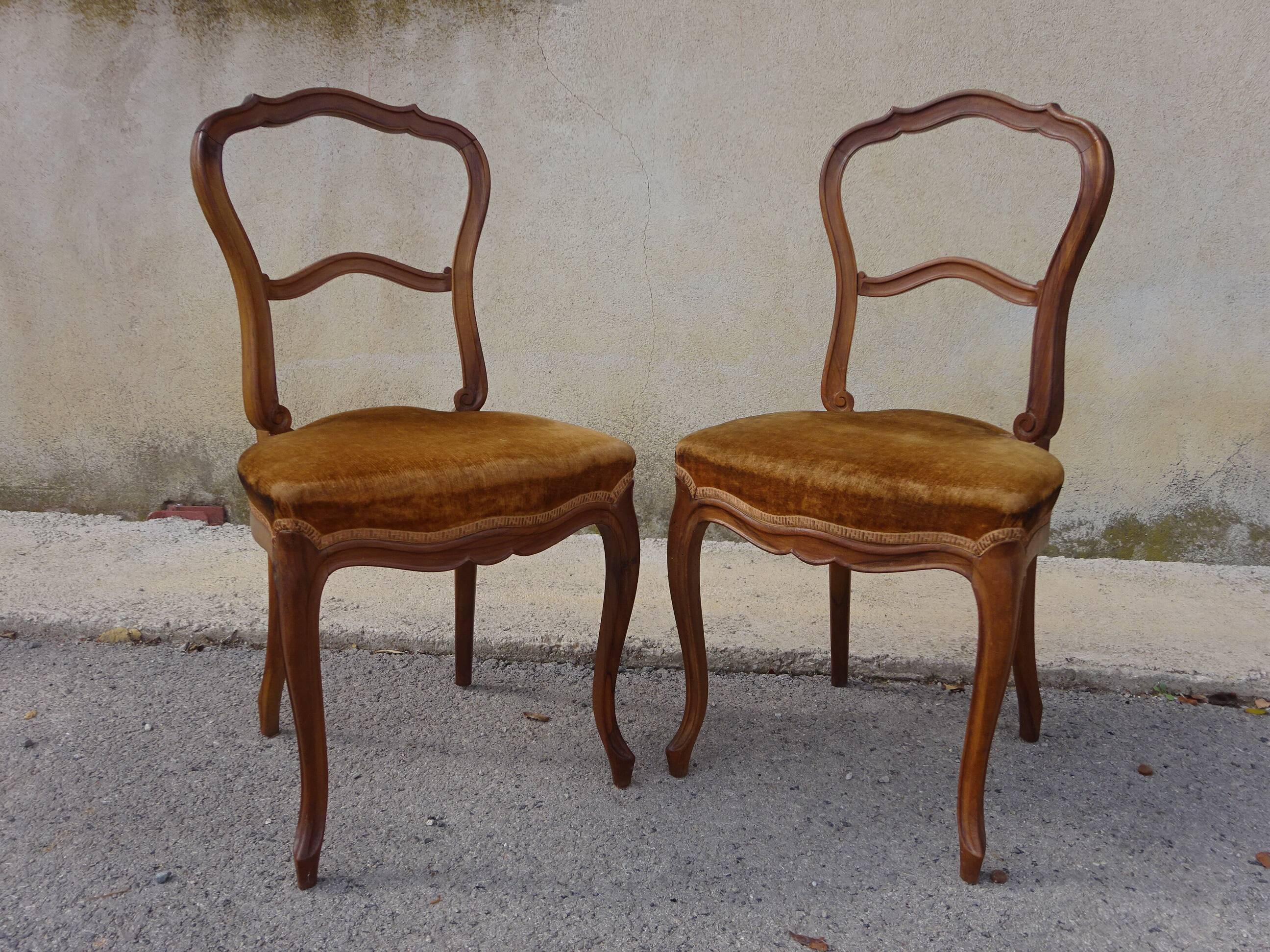 2 old chairs in walnut and velvet