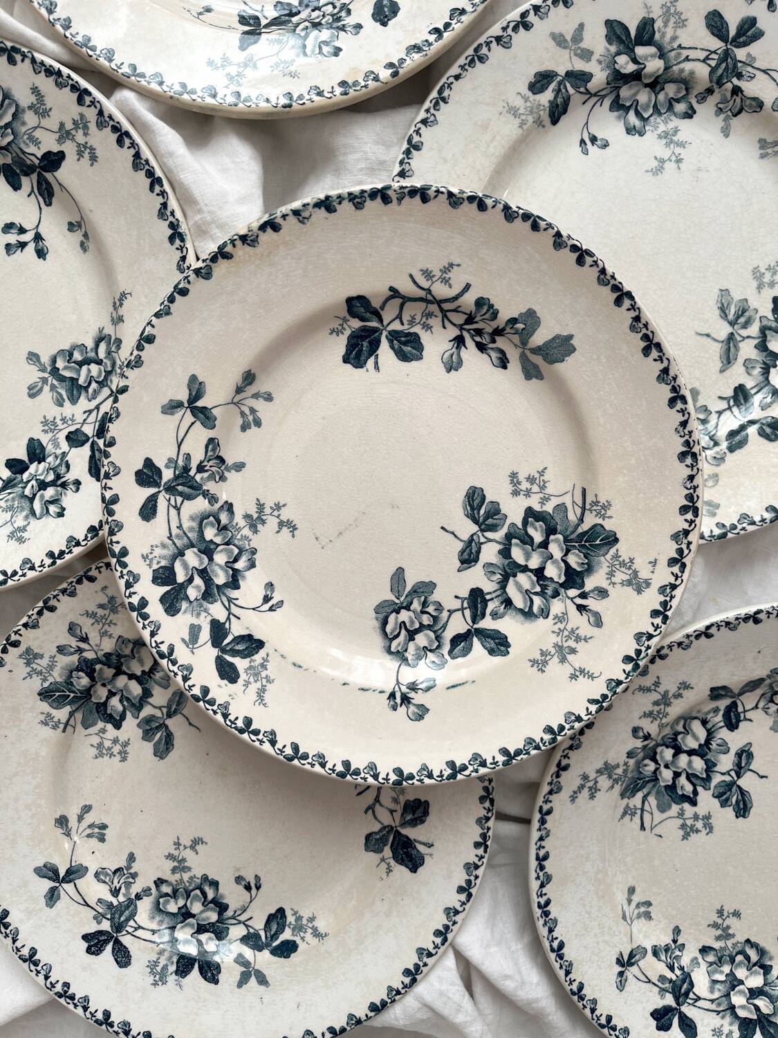 6 assiettes plates en terre de fer « Acacia » Moulin des Loups et Hamage