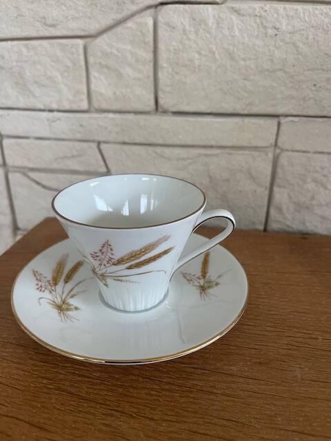 Old scherzer porcelain coffee service