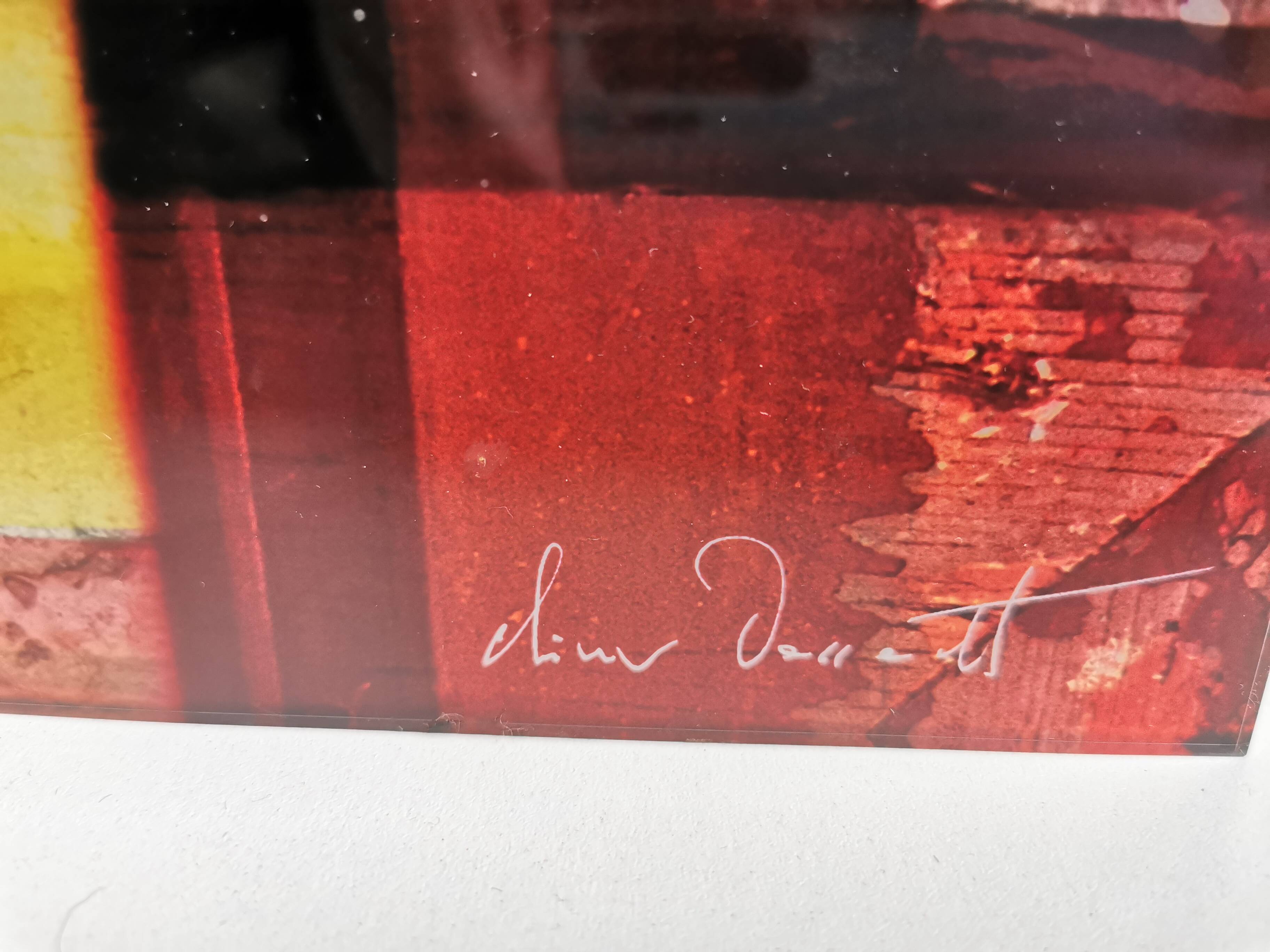 Colour photograph under Altuglas by Olivier Dassault