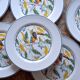 6 antique dessert plates with Toucan decor