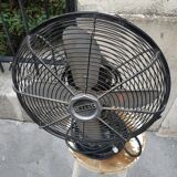 Cinni fan