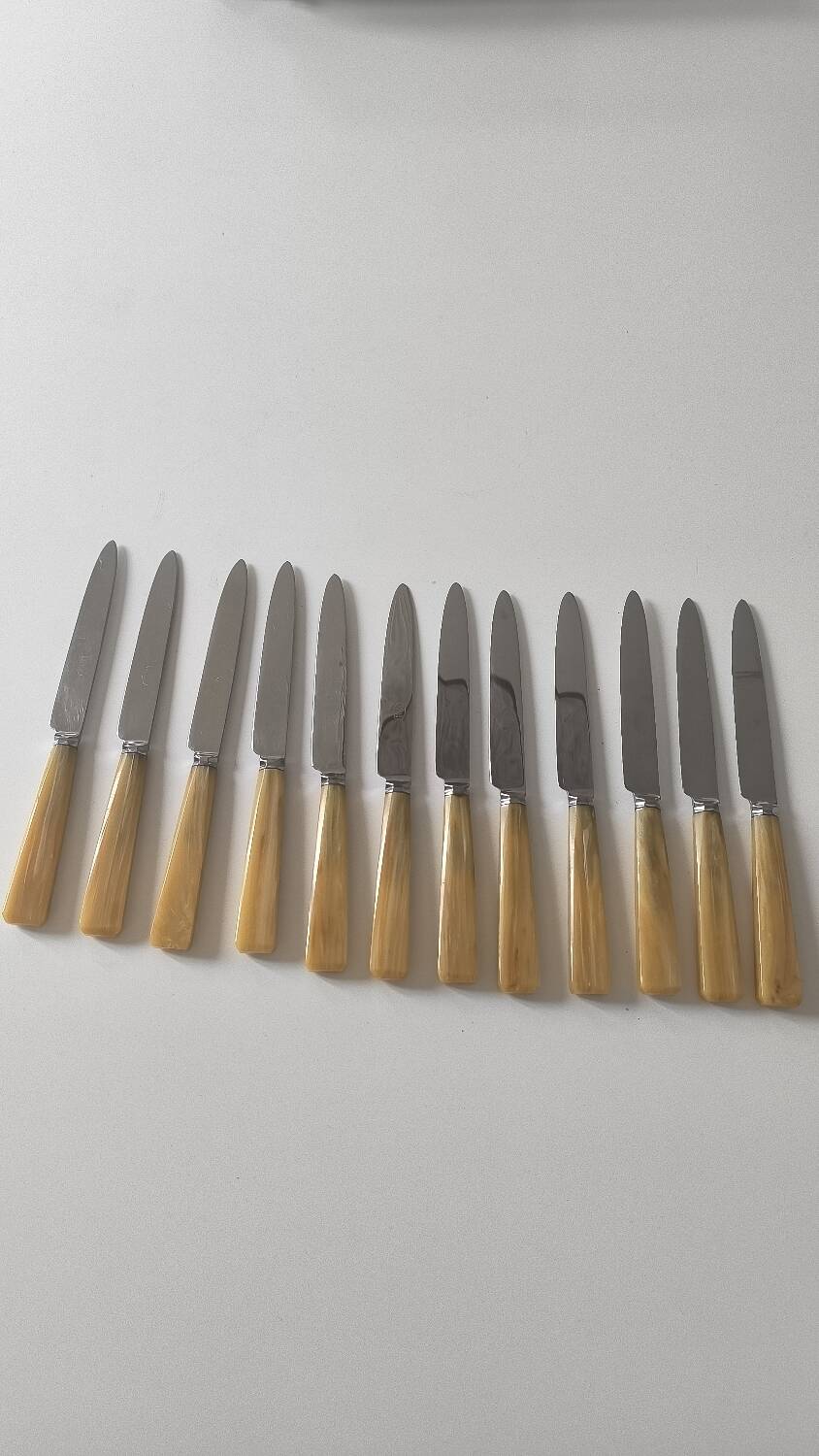 Set of 12 bakelite and stainless steel knives