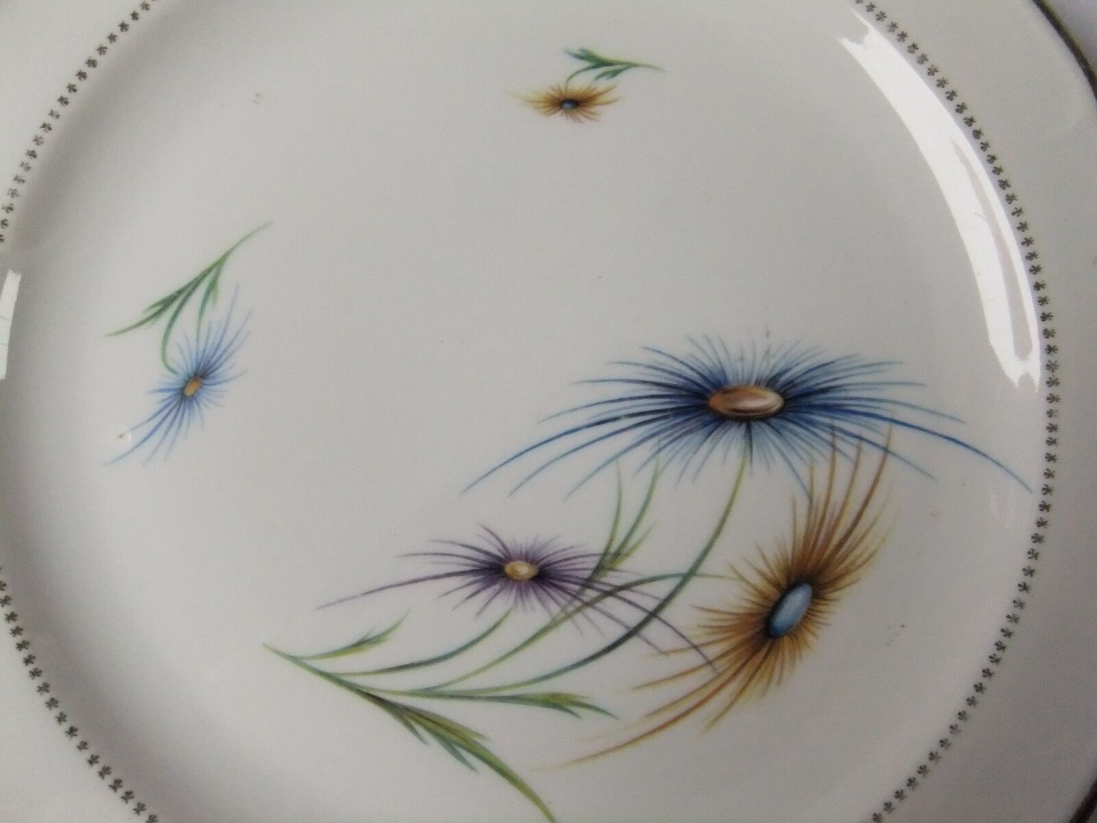 6 Limoge plates service porcelain cover