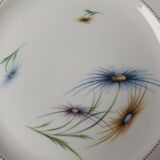 6 Limoge plates service porcelain cover