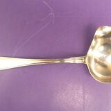 Silver metal sauce spoon