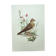 Old bird board 1960s - Skylark - Illustration to frame