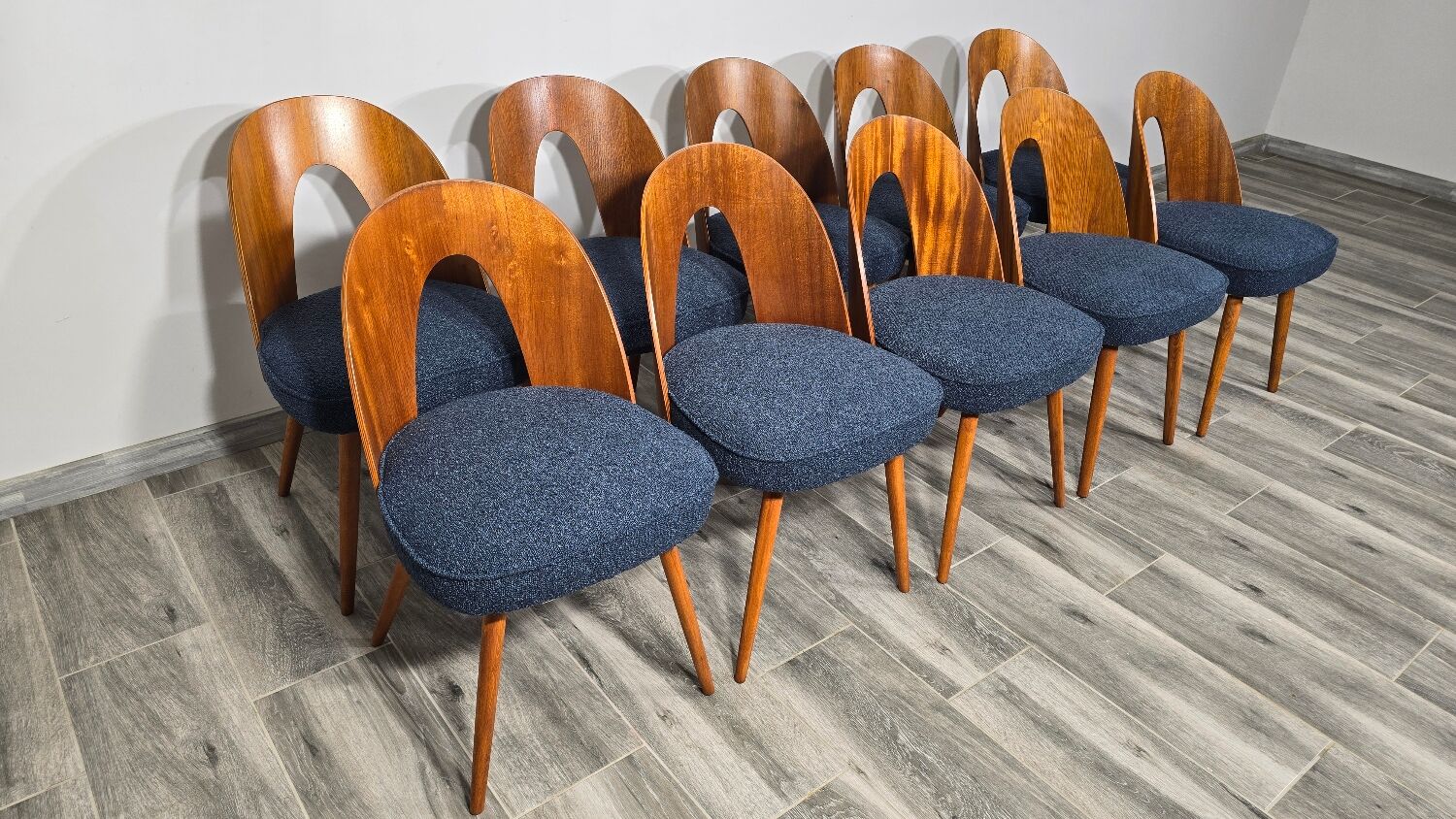 Dining Chairs by Antonin Suman, 1960s, Set of 10