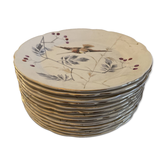 13 decorative plates with hummingbird design in fine earthenware by Mouzin Lecat, 19th century.