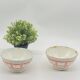 Duo of old ceramic bowls