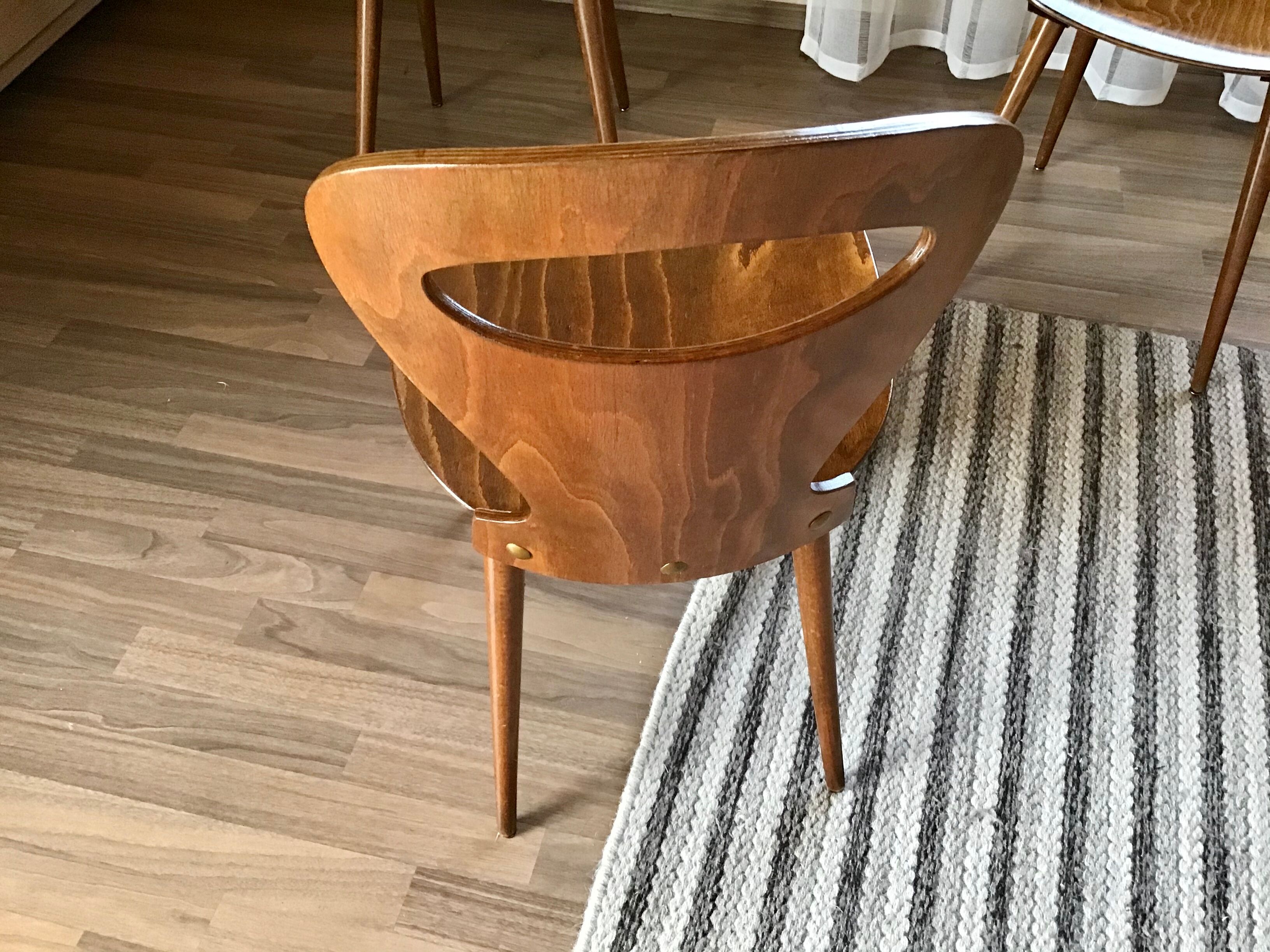 4 Baumann chairs model ant